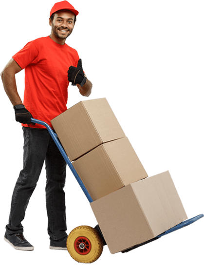 Professional logistics features and capabilities